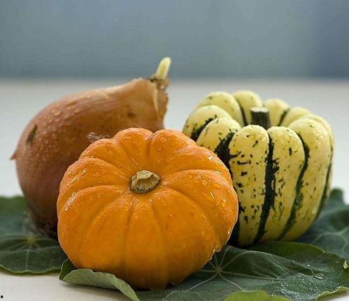 南瓜凯吃瓜视频,揭秘娱乐圈幕后故事