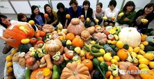 大神实拍吃瓜视频,揭秘大神吃瓜视频背后的精彩瞬间