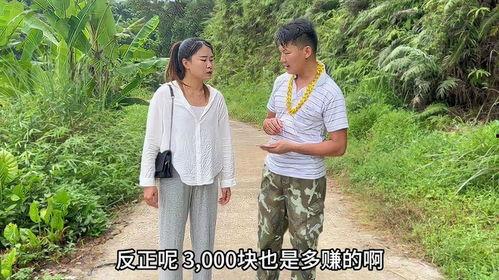 社会百态吃瓜视频大全集,吃瓜视频大全集深度解析