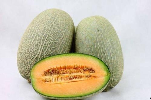 二驴吃哈密瓜视频,趣味横生吃播盛宴