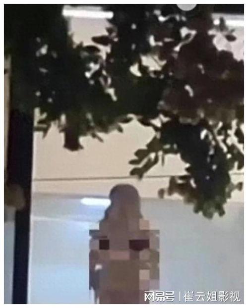 项城最近吃瓜事件视频曝光,揭秘背后真相与争议