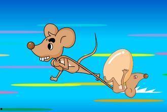 感冒吃老鼠瓜好不好呀视频,感冒期间食用老鼠瓜的利弊分析