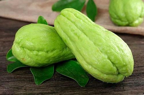 葫芦瓜能沾水吃吗视频,沾水食用是否安全?