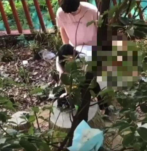 南京吃瓜教室视频曝光,揭秘当地美食文化趣闻